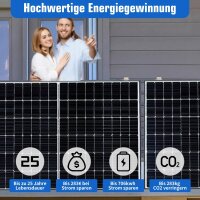 Balkonkraftwerk 2x450W mit TSUN Mikro-Wechselrichter