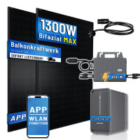 Balkonkraftwerk 2x500W mit TSOL-MS800 Wechselrichter mit...