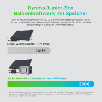 Balkonkraftwerk 1170W mit Speicher Dyness Junior Box 1600Wh, 800W TSUN Micro Wechselrichter, 2x450W Bifaziale Solarmodule, Solaranlage mit Stromspeicher Photovoltaik PV Anlage für Haus Balkon